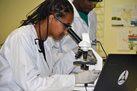 A student scientist looks through a microscope in the lab.